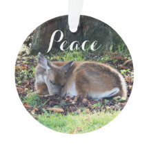 Feriado de paz dos veados dormindo