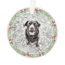 Feriado de Texto de Foto do Pet da Frota de Natal