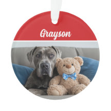 Festa de Natal do Grande Dane Dog