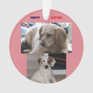 Ornamento Filhotes de cachorro & Sis