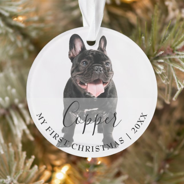 Ornamento First Christmas Pet 2 Photo Script Name Ornament (Árvore)