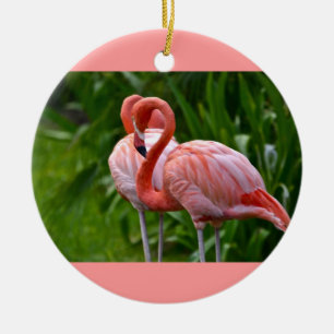 Ornamento Flamingo Americano de Aves Animais