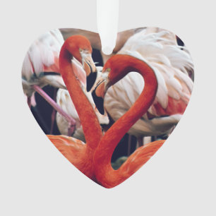 Ornamento Flamingo cor-de-rosa na natureza
