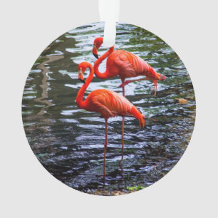 Ornamento Flamingos Rosa na Água