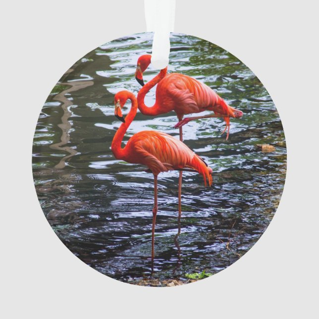 Ornamento Flamingos Rosa na Água (Verso)