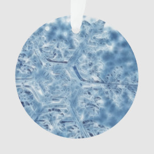 Ornamento Floco de Neve Fractal de Cristal de Gelo Congelado