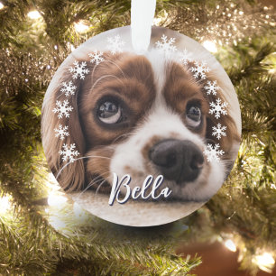 Ornamento Flocos de Neve com Nome de Cachorro Personalizado 