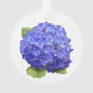 Ornamento Flor azul do Hydrangea