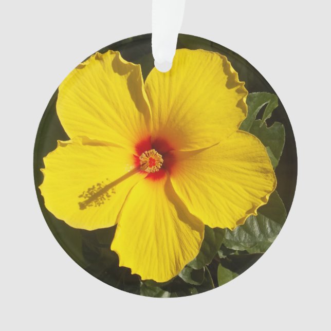 Ornamento Flor de Hibiscus Amarelo (Frente)