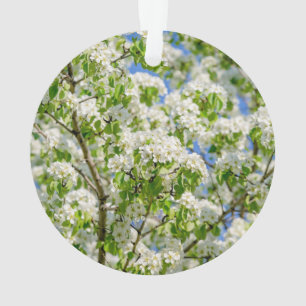 Ornamento Flor de maçã-caranguejo