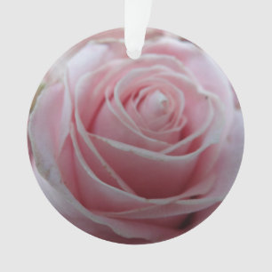 Ornamento Flor de Rosa