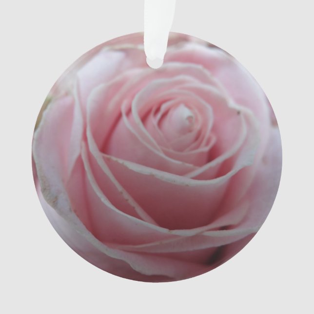 Ornamento Flor de Rosa (Frente)