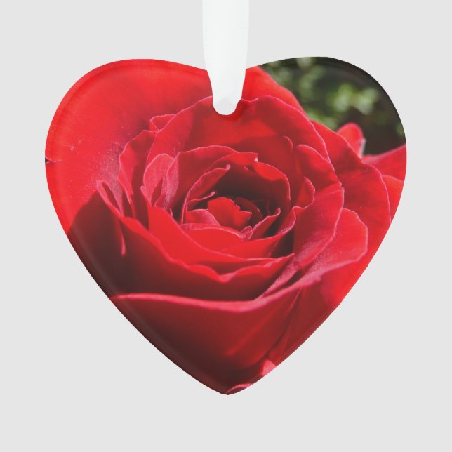 Ornamento Flor Rosa vermelha Brilhante Floral (Frente)