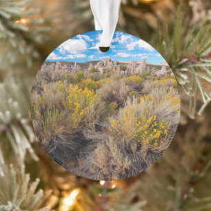 Ornamento Flores Blooming Sagebrush California
