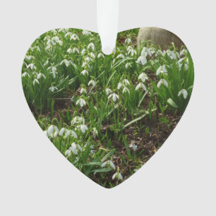 Ornamento Flores brancas do primavera de Snowdrops II