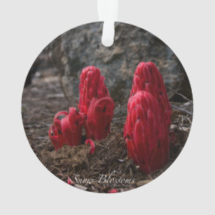 Ornamento Flores da neve