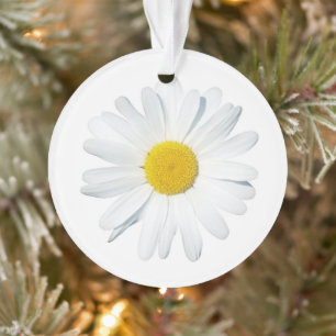 Ornamento Flores Daisy Solteiro