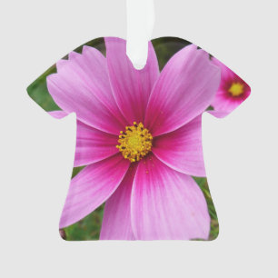 Ornamento Flores de Cosmos Rosa