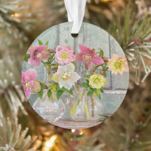 Ornamento Flores Hellebores em Vases