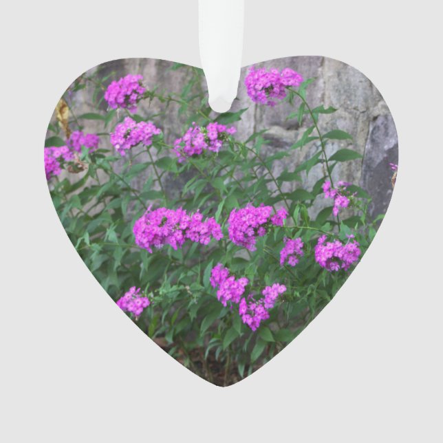 Ornamento Flores Lilac (Frente)