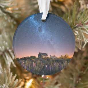 Ornamento Flores Lupines Blooming Lake Tekapo Nova Zelândi