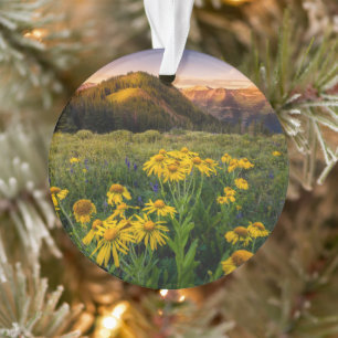 Ornamento Flores   Mountain Meadow Brested Colorado