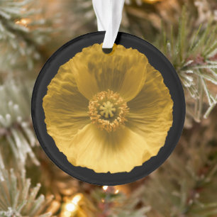 Ornamento Flores Papoila amarela