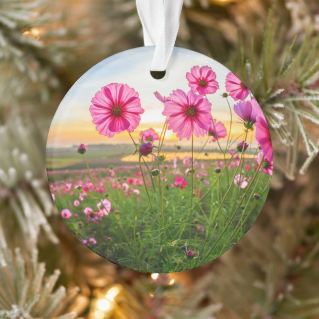 Ornamento Flores |Província de Chiang Rai, Tailândia (Árvore)
