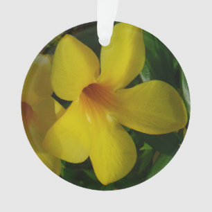 Ornamento Flores tropicais II Ouros