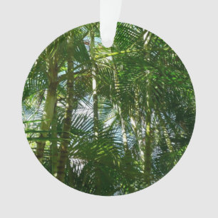 Ornamento Floresta de Palmeiras Natureza Tropical