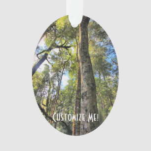 Ornamento Floresta Tropical Australiana Eucalyptus Gum Trees