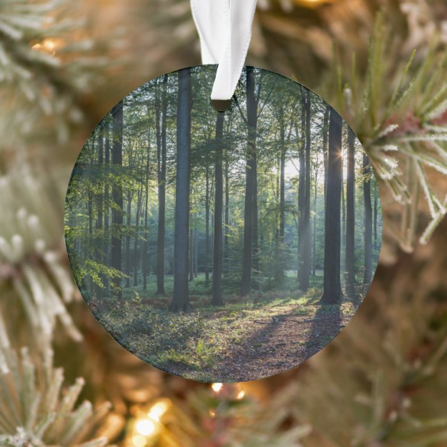 Ornamento Florestas | Floresta Negra Alemanha (Árvore)