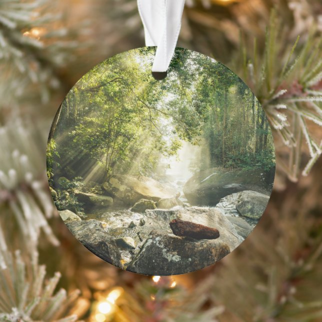 Ornamento Florestas | Floresta Tropical Selva (Árvore)