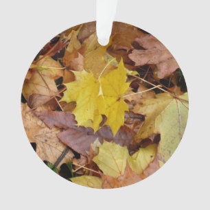 Ornamento Folhas de bordo caídas amarelas de outono natureza