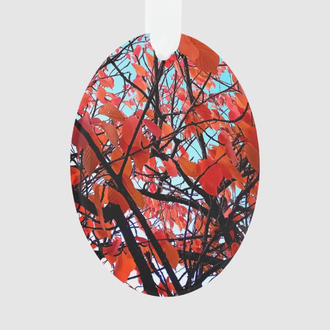 Ornamento Folhas de laranja (Frente)