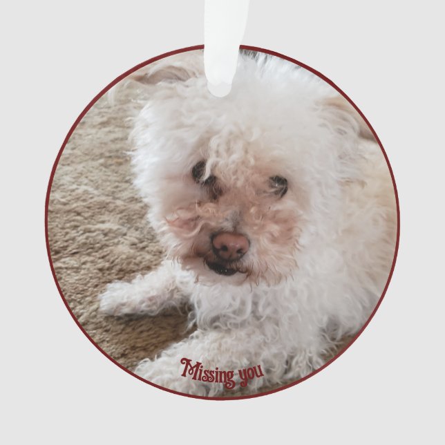 Ornamento Forma Cardíaca Preenchida de Pawprint Vermelho, Ci (Frente)