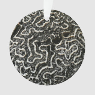 Ornamento Foto Abstrata da Natureza Coral Preto e Branco II