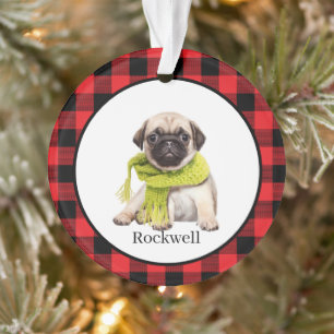 Ornamento  Foto de Animal de Estimação Personalizada 