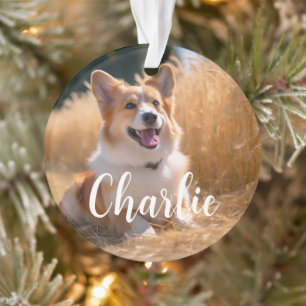 Ornamento Foto de animal de estimação personalizada com nome