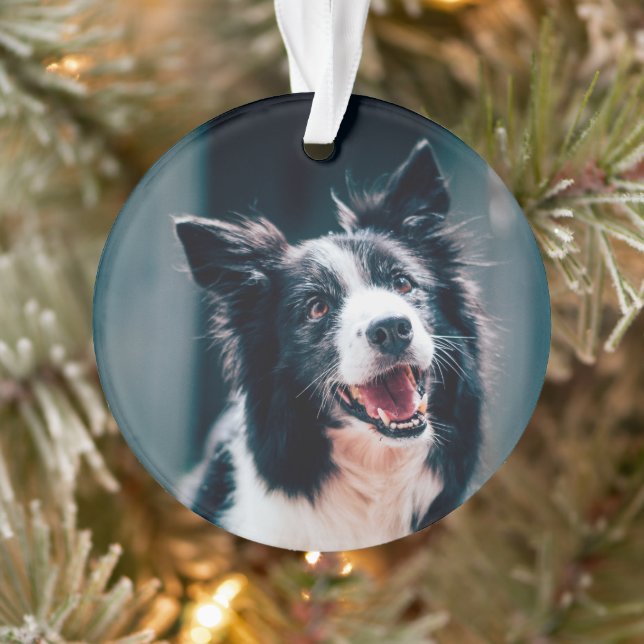 Ornamento Foto de Cachorro de Natal  (Árvore)