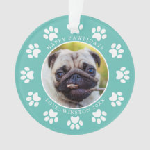 Foto de Cachorro Feliz Natal Personalizado em Azul