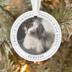 Ornamento Foto de Cachorro Pet Simples Memorial Recordação