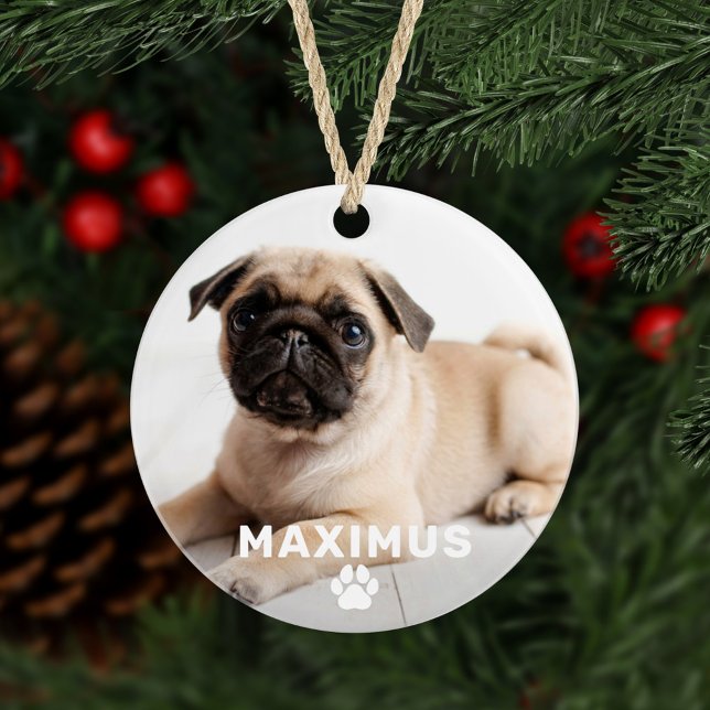 Ornamento Foto de Cachorro Simples com Nome Personalizado e  (Criador carregado)