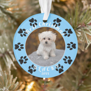 Ornamento Foto de Cão Azul de Puppy no Primeiro Natal