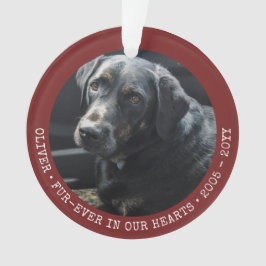 Ornamento Foto de Cão de Gato de Memória Pet para Sempre Per
