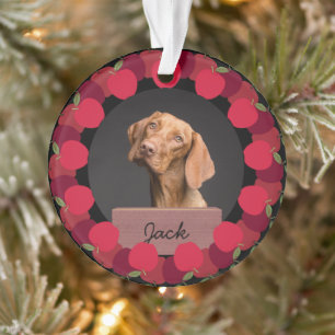 Ornamento Foto de Cão Personalizado de Natal de maçã vermelh