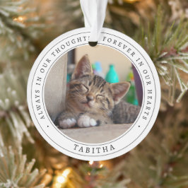 Ornamento Foto de Gato de Estimação Simples Memória