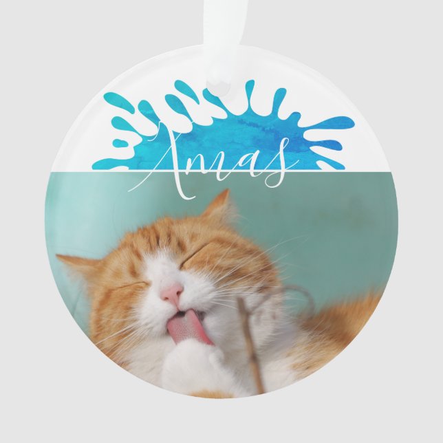 Ornamento Foto de Gato Natal Roteiro de Natal  (Frente)