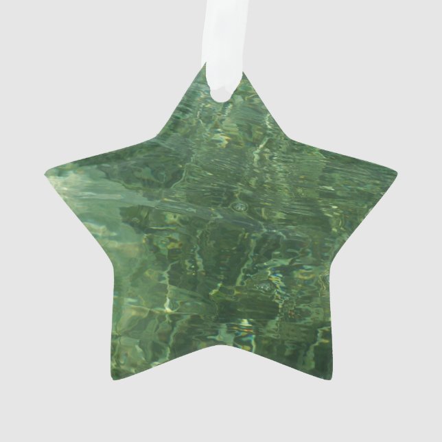 Ornamento Foto de Grama II (Azul e Verde) (Verso)