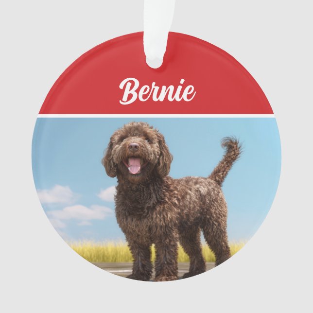 Ornamento Foto de Natal de Barbet Dog Holiday (Frente)